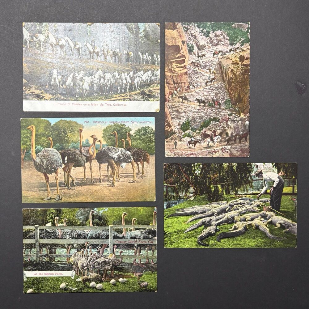 Vintage Early California Historical Scenes Points of Interest Postcards.